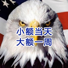 尼勒克要账公司